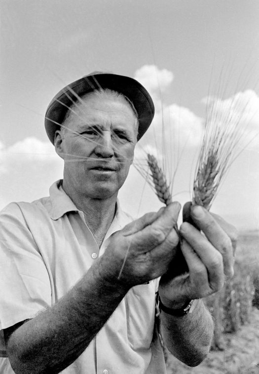 Norman E. Borlaug, Ph.D. Academy of Achievement