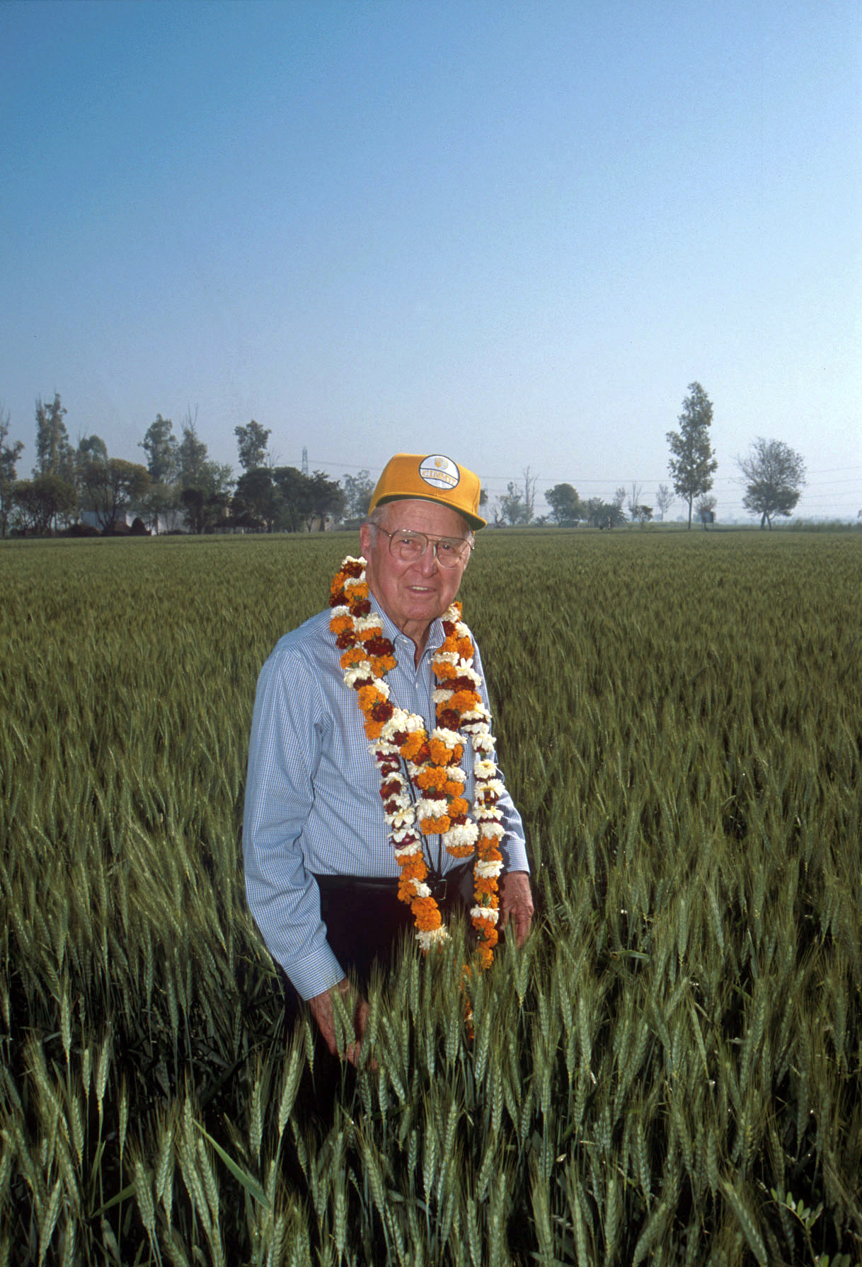 Norman E. Borlaug, Ph.D. - Academy Of Achievement