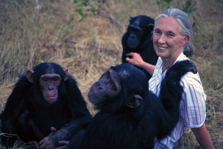 Dame Jane Goodall | Academy of Achievement