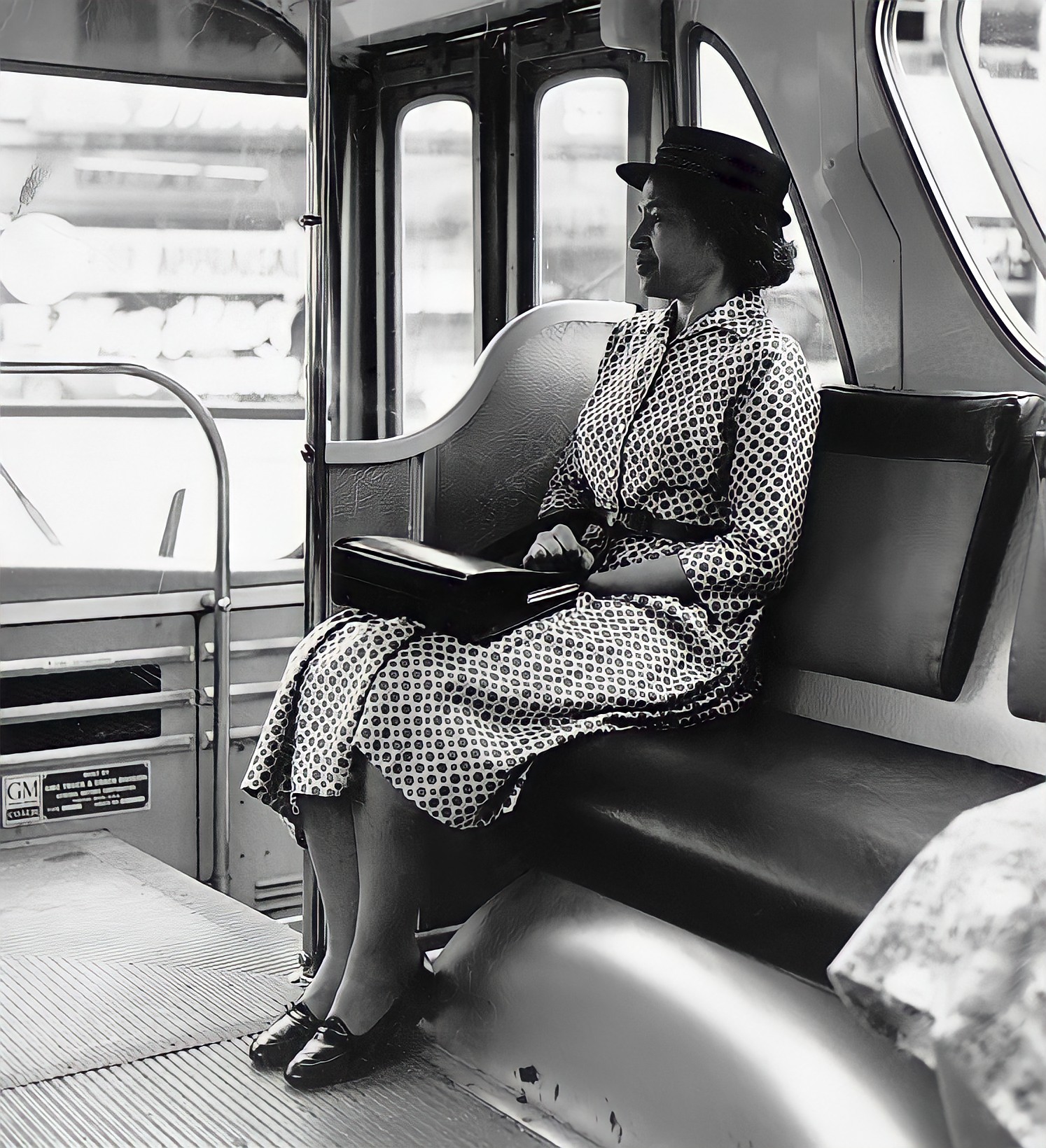 rosa parks biography video