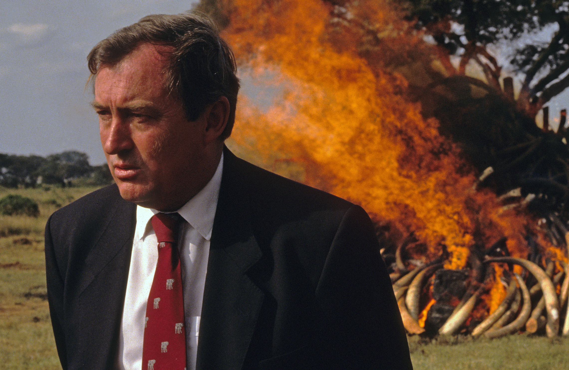 [Image: lea0-005-leakey-GettyImages-525524388.jpg]