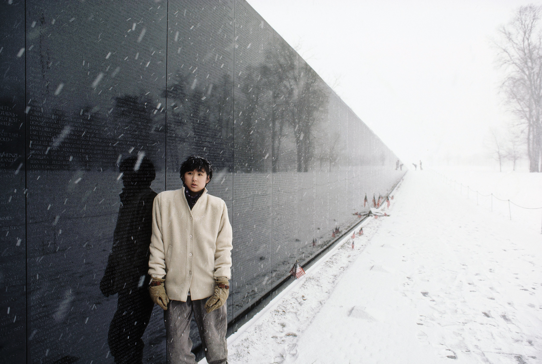 Maya Lin - Vietnam Memorial, Storm King & Art