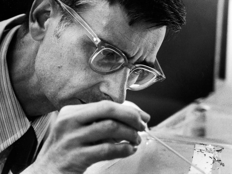 Edward O. Wilson, Ph.D. Academy of Achievement